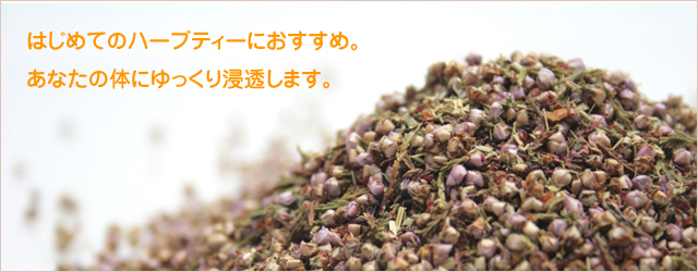 はじめてのハーブティーにおすすめ。 スノー・ホワイト